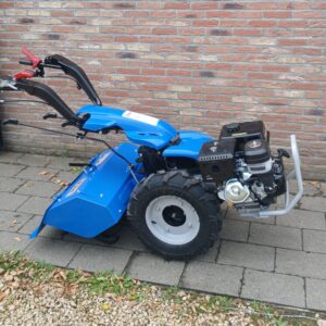 Tuinfrees